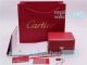 Best Replica Cartier Red Leather Watch Box & Warranty card & Disk Set (6)_th.jpg